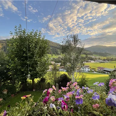 Ein schöner Ausblick auf eine malerische Landschaft mit Bergen und grünem Feld. Bunte Blumenrahmen im Vordergrund sorgen für einen einladenden Anblick.