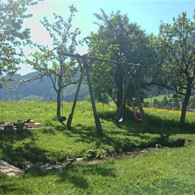 A beautiful garden with green meadows and numerous trees. In the background, a swing and a small brook can be seen.