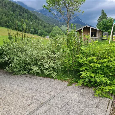 Ein gepflegter Garten mit verschiedenen grünen Büschen und einer Spielplatzschaukel. Im Hintergrund sind sanfte Hügel und ein Holzhaus zu sehen.