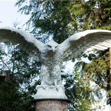 Golden Eagle