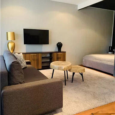 Ein modernes Wohnzimmer mit einem grauen Sofa, einem Fernseher an der Wand und einem dekorativen Tisch. Der Raum ist hell und gemütlich, mit einem Teppichboden und einer angrenzenden Schlafgelegenheit.
