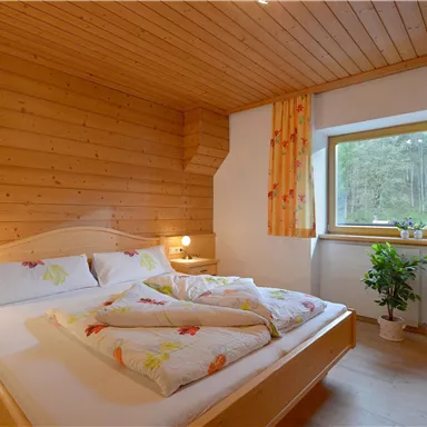 A cozy bedroom with wood paneling and a large bed. Natural light flows through the window, and a plant provides a fresh atmosphere.