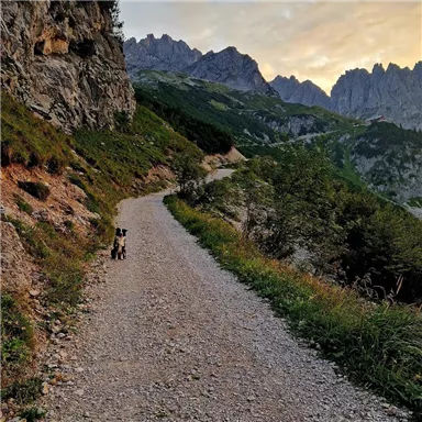 Ein schmaler Schotterweg führt durch eine malerische Berglandschaft. Ein Hund steht am Wegesrand und blickt in die Ferne.