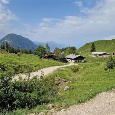 Eine ruhige Landschaft mit grünen Wiesen und traditionellen Hütten. Im Hintergrund sind Berge unter einem blauen Himmel sichtbar.