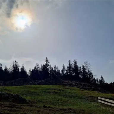 Eine Landschaft mit einem sanften Hügel, umgeben von Bäumen und einem Gebirgshorizont. Der Himmel ist bewölkt, und die Sonne scheint durch die Wolken.