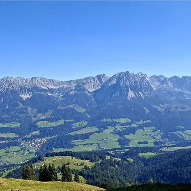 Eine beeindruckende Berglandschaft mit grünen Wiesen und schneebedeckten Gipfeln. Der Himmel ist klar und blau, was eine wunderschöne Aussicht bietet.