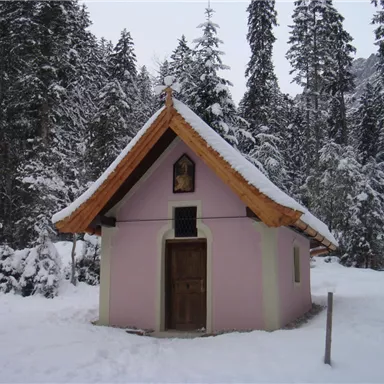 Eine kleine pinke Kapelle in einer verschneiten Waldlandschaft. Hohe Tannenbäume umgeben das Gebäude.