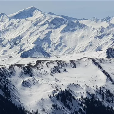 Eine beeindruckende Schneelandschaft mit hohen Bergen und klaren blauen Himmel. Die Gipfel sind mit Schnee bedeckt, während die Wälder am Fuße der Berge sichtbar sind.