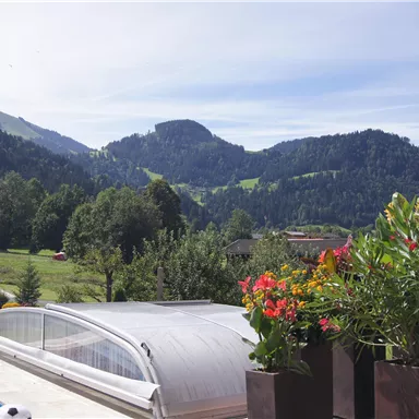 Ein schöner Ausblick auf Berge und grüne Wiesen. Im Vordergrund stehen blühende Pflanzen und ein Pool mit einer Abdeckung.