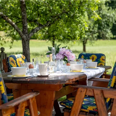 A beautifully set table outdoors under a tree. The surroundings are green and inviting, perfect for an al fresco meal.
