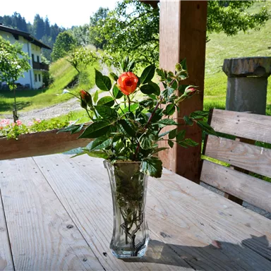 A bouquet in a vase is placed on a wooden table. In the background, green meadows and trees can be seen.