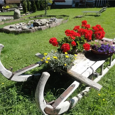 Ein rustikaler Schlitten mit bunten Blumen und Pflanzen. Im Hintergrund ist ein gepflegter Garten zu sehen.