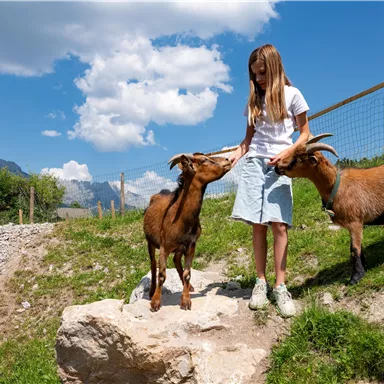 A girl is standing on a rock and feeding two goats. In the background, a blue sky with some clouds can be seen.