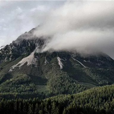 Ein majestätischer Berg, umgeben von dichten Wäldern und nebelartigen Wolken. Die Landschaft strahlt Ruhe und Schönheit aus.