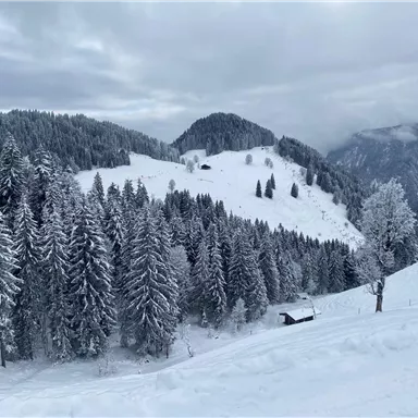 A snowy winter landscape with pine trees and gentle hills. The sky is cloudy and the surroundings appear peaceful and calm.