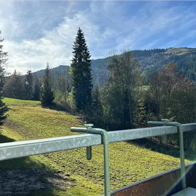 A tranquil landscape with green meadows and tall trees. In the background, gentle hills and a clear sky can be seen.