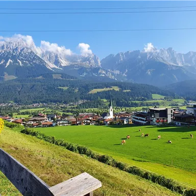 Eine malerische Landschaft mit majestätischen Bergen im Hintergrund. Im Vordergrund sind eine grüne Wiese und Kühe zu sehen, sowie ein charmantes Dorf mit einer Kirche.