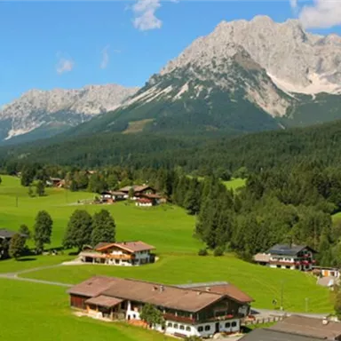 Eine malerische Landschaft mit grünen Wiesen und majestätischen Bergen im Hintergrund. Im Vordergrund sind einige traditionelle Häuser zu sehen.