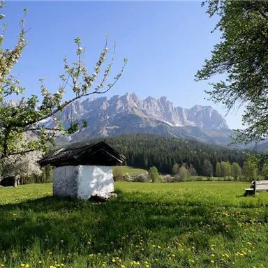 Eine ruhige Landschaft mit einem kleinen Holzhaus, umgeben von blühenden Bäumen und Wiesen. Im Hintergrund sind beeindruckende Berge und ein wolkenloser Himmel zu sehen.