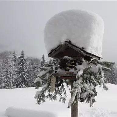 Ein verschneiter Vogelhaus mit einer dicken Schneeschicht auf dem Dach. Im Hintergrund sind schneebedeckte Bäume zu sehen.