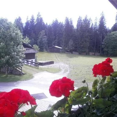 A picturesque view of a rural setting with red flowers in the foreground. In the background, you can see trees and a meadow with a small wooden building.