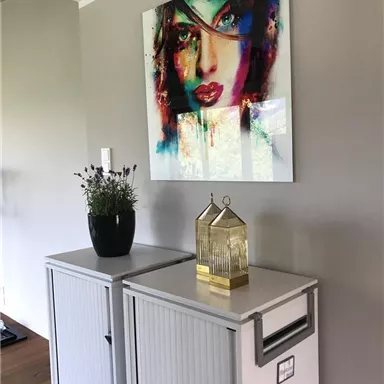 Ein dekorativer Raum mit einem modernen Porträt an der Wand. Auf einem weißen Sideboard stehen eine Pflanze und eine goldene Laterne.