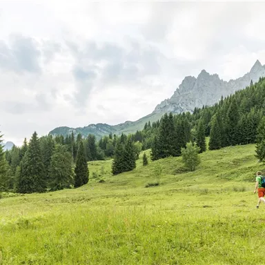 Two hikers are walking through a green meadow, surrounded by mountains and dense forests. The sky is overcast, creating a calm atmosphere.