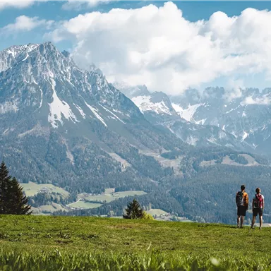 Two hikers stand in a meadow, admiring the majestic mountains in the background. The sky is blue with a few white clouds.
