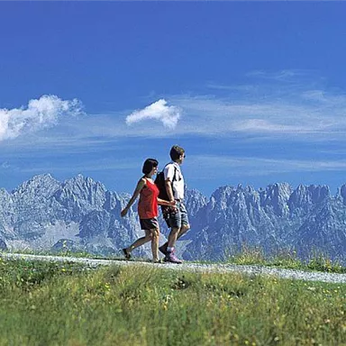 Two hikers are walking along a path through a green landscape. In the background, majestic mountains can be seen under a clear blue sky.