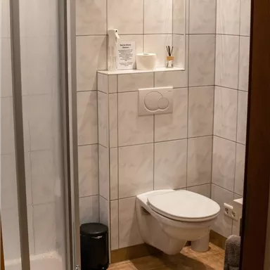 A modern bathroom with a shower and a toilet. The walls are tiled and there are some utensils on the shelf.