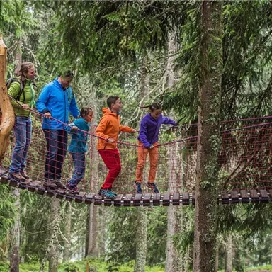 Eine Gruppe von Kindern und Erwachsenen überquert eine schwingende Brücke im Wald. Umgeben von hohen Bäumen erleben sie ein Abenteuer in der Natur.