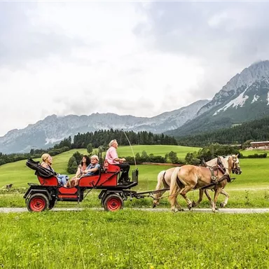 Ein Pferdegespann zieht eine Karre mit vier Personen durch eine malerische Landschaft. Im Hintergrund sind Berge und grüne Wiesen zu sehen.
