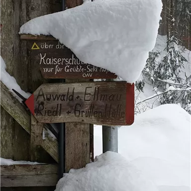A wooden signpost is covered in snow. It shows the directions to various destinations in the winter forest.