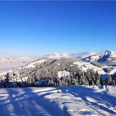 A snowy landscape with tall mountains and dense forests. The clear blue sky makes the scene radiant.