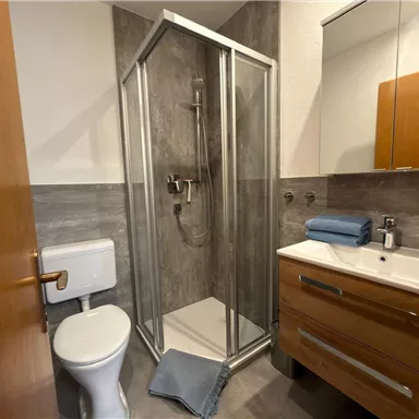 A modern bathroom with a shower cabin and wooden cabinets. There is a sink, a toilet, and towels on the shelf.