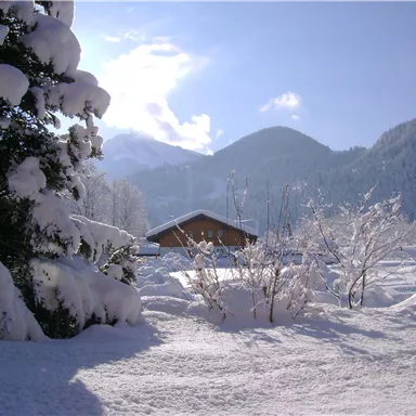 A snowy landscape with a wooden house and snow-covered trees. In the background, mountains can be seen under a clear sky.