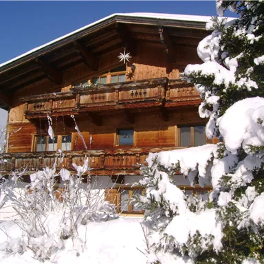 A traditional chalet in winter, surrounded by snow and fir trees. The clear blue sky creates a picturesque atmosphere.