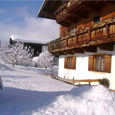 A cozy wooden house in winter with a snow-covered garden. The surroundings are peaceful and smooth, surrounded by snow-covered trees.