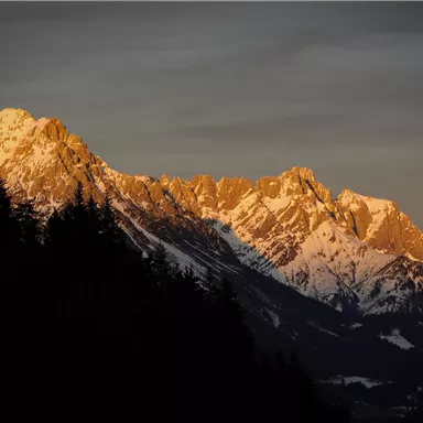 A majestic mountain range with snow-covered peaks illuminated by the evening sun. In the foreground, a dark forest can be seen.