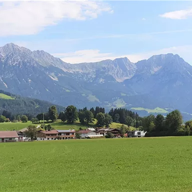 Eine malerische Landschaft mit grünen Wiesen und beeindruckenden Bergen im Hintergrund. Der Himmel ist klar mit wenigen Wolken.