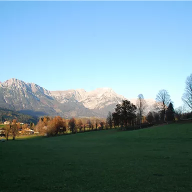 A picturesque landscape with gentle hills and snow-capped mountains in the background. A clear blue sky completes the tranquil scene.