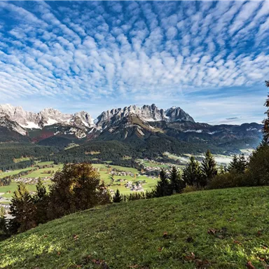 An impressive mountain landscape with snow-capped peaks and a clear sky. In the foreground, there is a green meadow with trees.