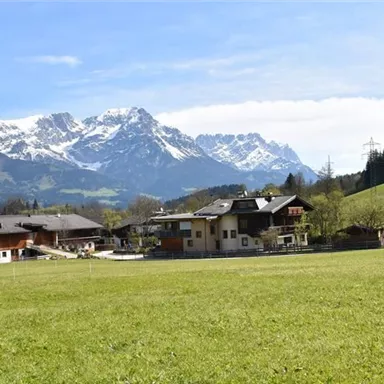 A picturesque landscape with green meadows and majestic mountains in the background. The sky is blue and clear, perfect for an idyllic setting.