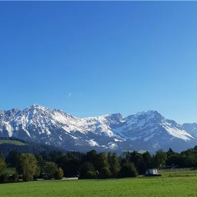 Eine beeindruckende Berglandschaft mit schneebedeckten Gipfeln und klarem, blauem Himmel. Im Vordergrund befindet sich eine grüne Wiese.