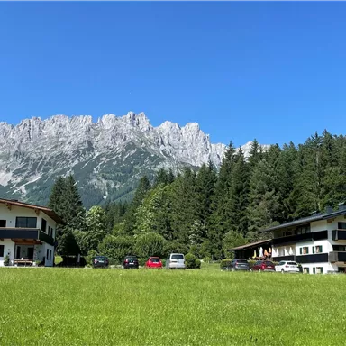 A beautiful view of two buildings amidst green meadows and a forest. In the background, impressive mountains can be seen under a clear blue sky.