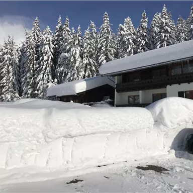 A snowy landscape with tall, snow-covered fir trees. In the foreground, there is a large blanket of snow, next to a wooden house and a parking lot.