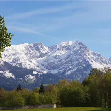 Eine malerische Berglandschaft mit schneebedeckten Gipfeln und grünem Wald im Vordergrund. Der Himmel ist klar und blau.