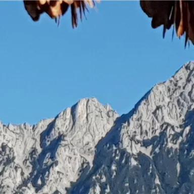 Eine beeindruckende Berglandschaft mit schneebedeckten Gipfeln unter einem klaren blauen Himmel. Im Vordergrund sind Blätter sichtbar.