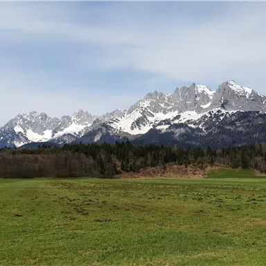 Eine malerische Berglandschaft mit schneebedeckten Gipfeln und grünem Tal. Der Himmel ist klar und die Natur ist unberührt.