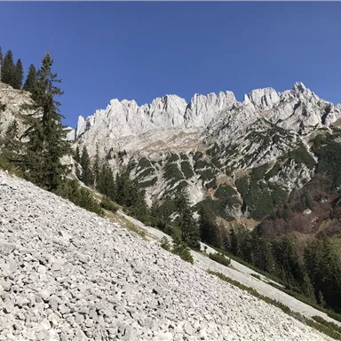 An impressive mountain range with rugged rocks and green trees in the foreground. The sky is clear and blue.